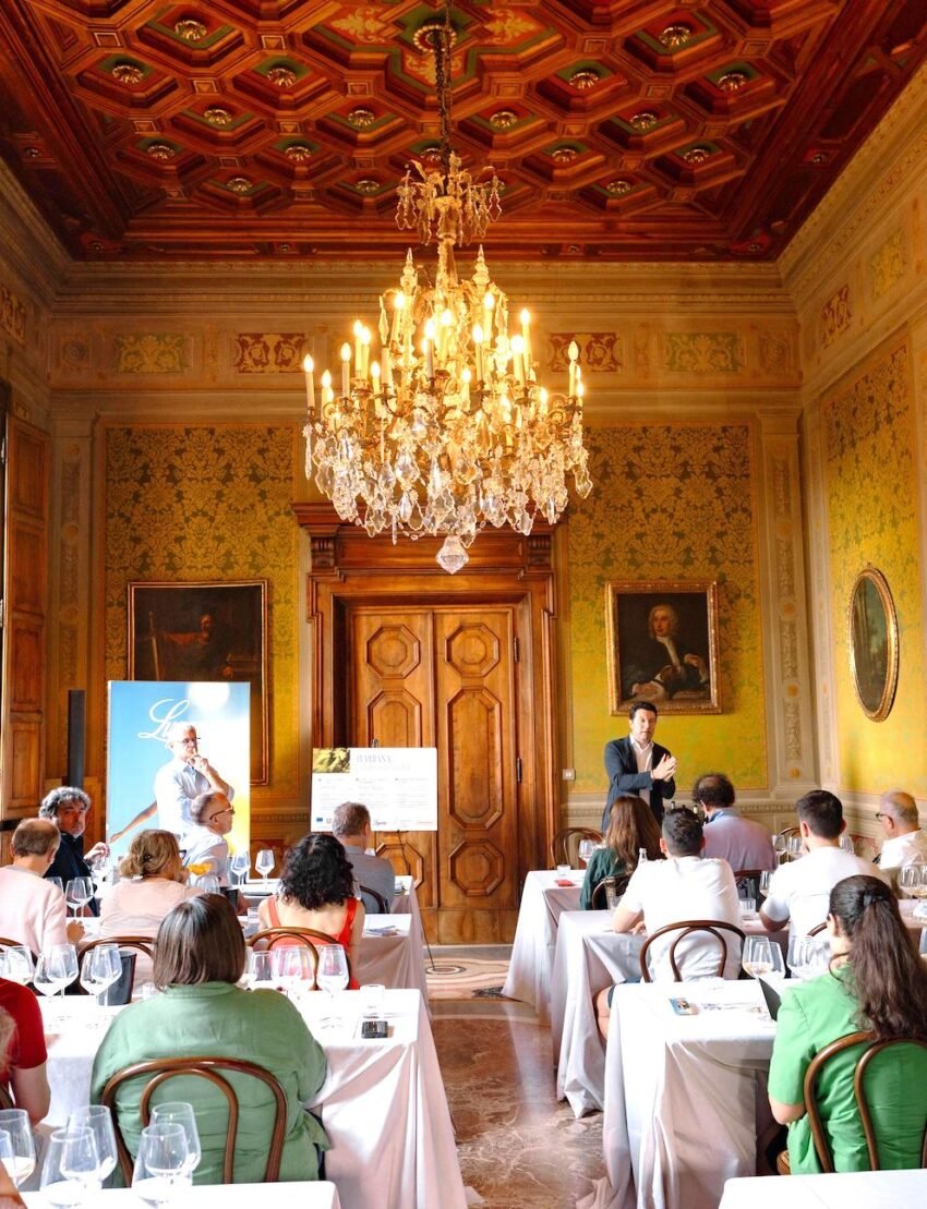 photo credits consorzio lugana 6