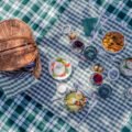 stendhal picnic00043