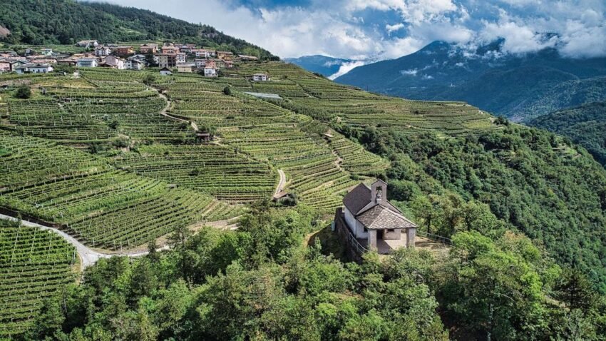 val di cembra archivio associazione turistica ph michael dallagnol