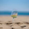 vermentino doc maremma toscana(3)