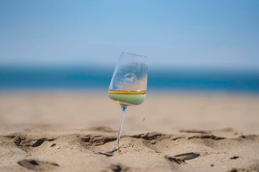 vermentino doc maremma toscana(3)