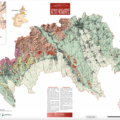 1mappa