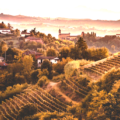 nizza docg 1