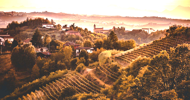 nizza docg 1