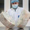 produzione gorgonzola dop (26)