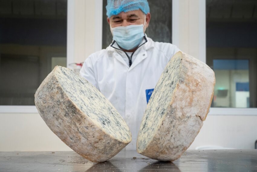produzione gorgonzola dop (26)