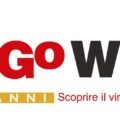 logo 25 anni