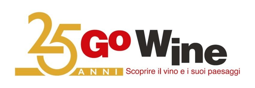 logo 25 anni