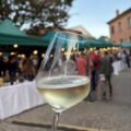 mostra assaggio vini colli bolognesi