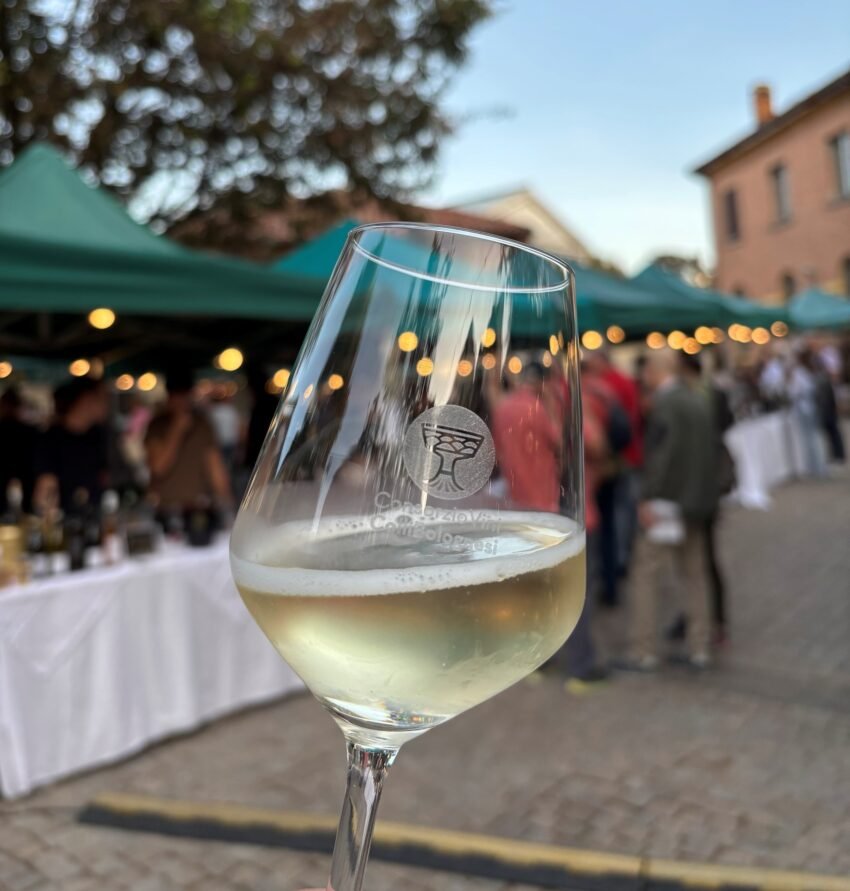 mostra assaggio vini colli bolognesi
