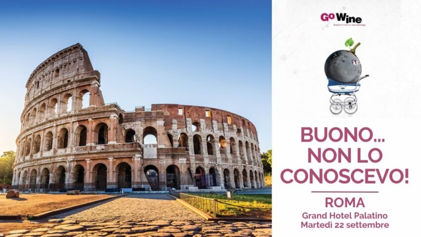tour asn copertine fb eventi 8