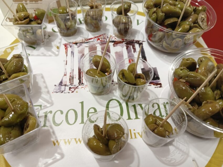 ollive da tavola ercole olivario