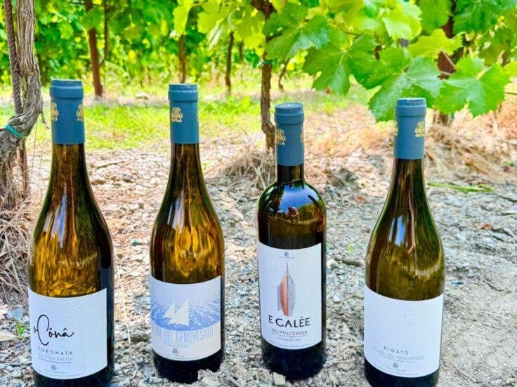 villa cambiaso rilancia vino ligure val polcevera 736x552 copia