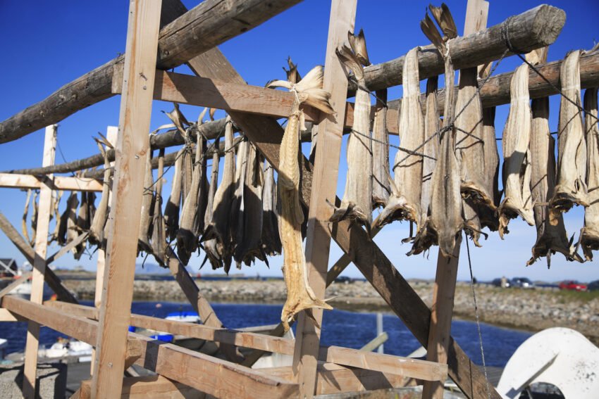 bacalà appesi copia