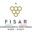 logo nord ovest ritagliato 1