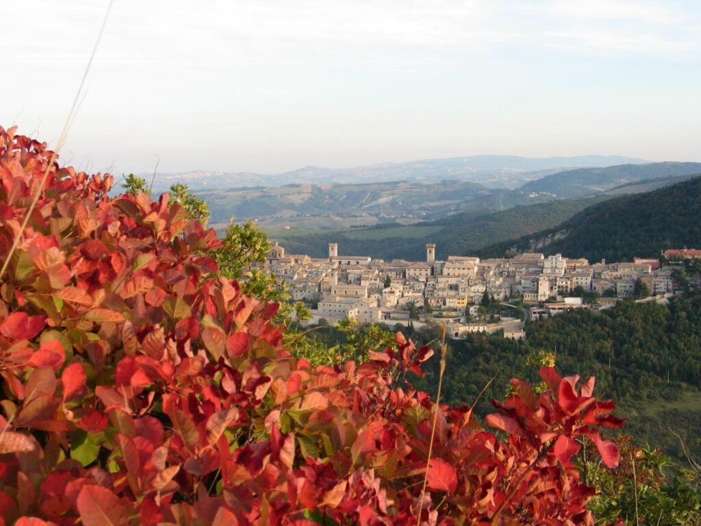 arcevia ph bruno santoni(0)