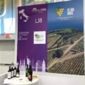 consorzio elba doc vinitaly usa