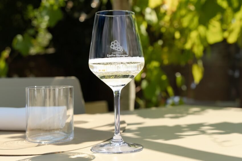 consorzio emilia romagna 10