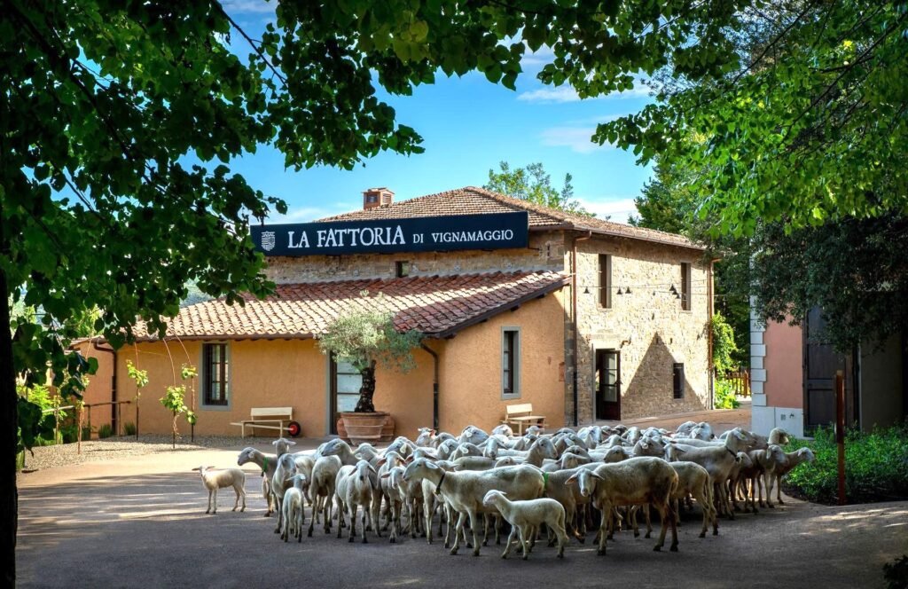 fattoria exterior 06(0)