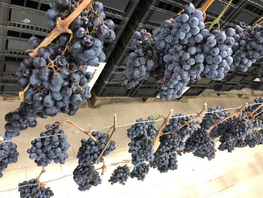 img 9327