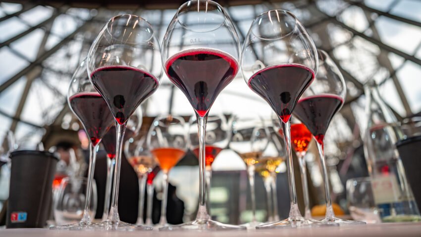 lambrusco colori2 credits consorzio tutela lambrusco