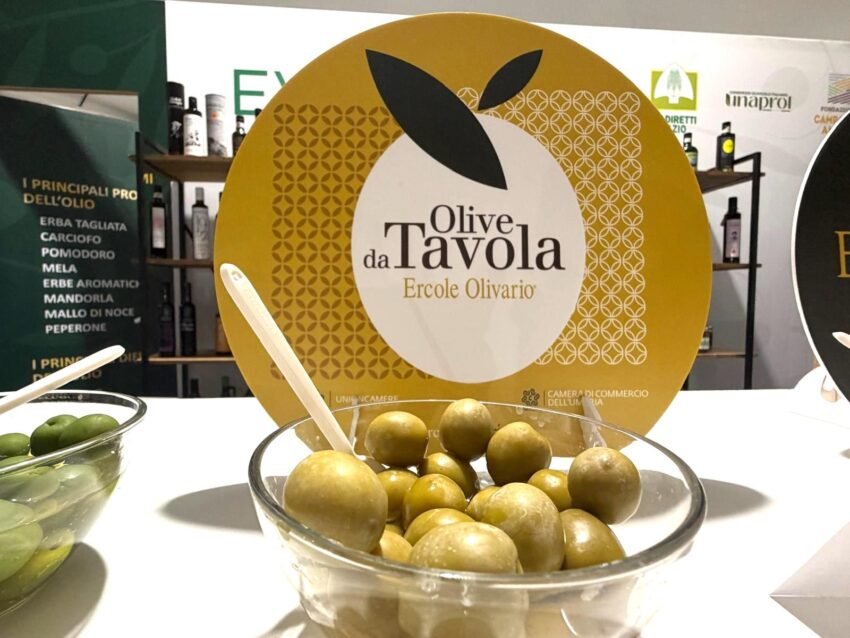 olive da tavola ercole olivario 3
