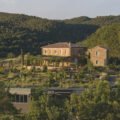 tenuta luce estate