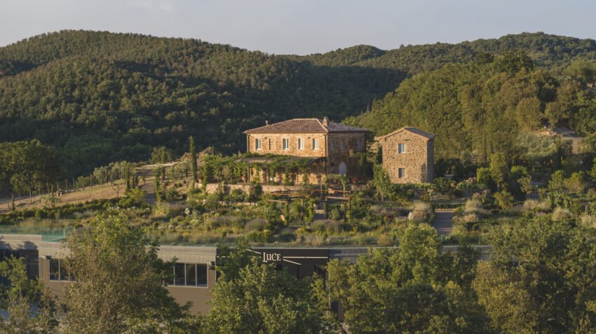 tenuta luce estate
